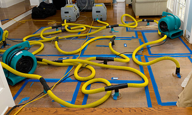 Professional Water Damage Restoration technician working in Cleveland, FL